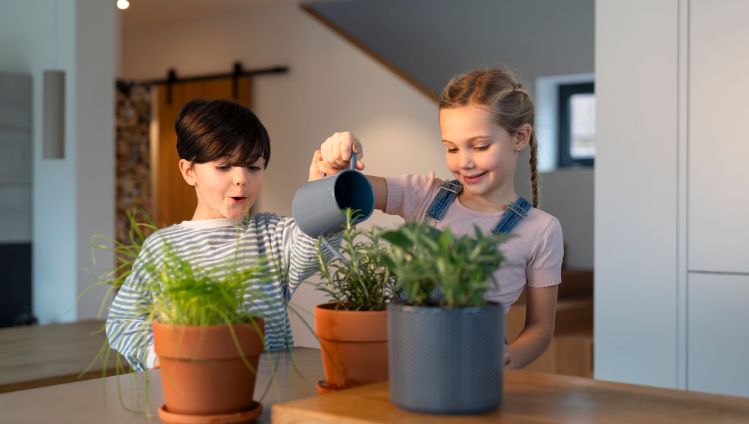 20251209_123257_LeicaIMG134