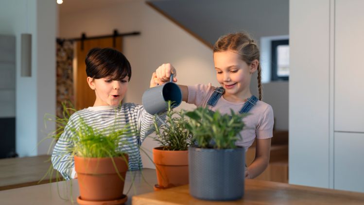 20251209_123257_LeicaIMG134