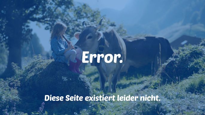 Error_Seite_Luzerner_Stage_Simple_DE
