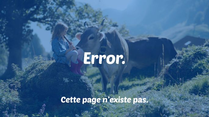 Error_Seite_Luzerner_Stage_Simple_FR