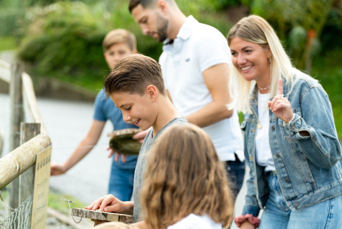 Familienerlebnis Binzenhof hufe
