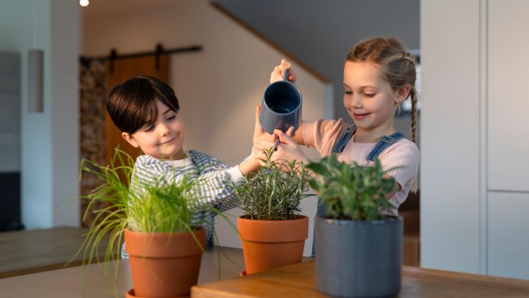 20251209_121942_LeicaIMG22