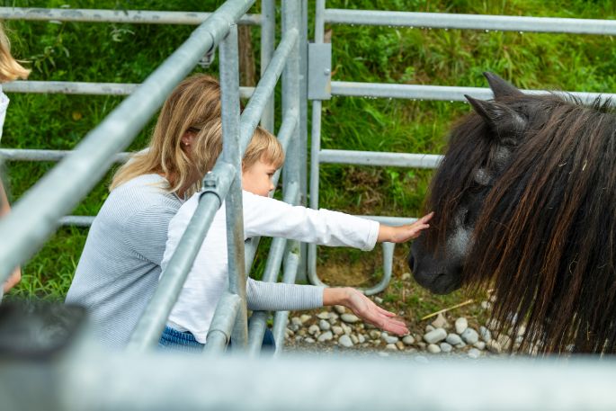 Familienerlebnis Binzenhof Pony
